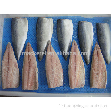 Nouvelle saison congelée Pacific Mackerel Filet Fish